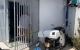 thum-8198844_B8FbYJEorw_1635130296.jpg