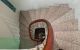 thum-8201231_5nZxdQmcME_1635230688.jpg