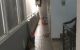 thum-8202044_DYWFegxy7q_1635261675.jpg