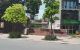 thum-m_ixqhsIm6AX_1635244891.jpg