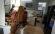 thum-8202103_TmGQ2ZEcd9_1635269619.jpg