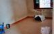 thum-8202195_J4pN8Bo3KQ_1635276966.jpg
