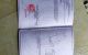 thum-8202513_H0VUy1qOSh_1635300360.jpg