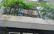 thum-8203095_rVT9cEdUba_1635318431.jpg