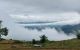 thum-8203103_uZfygzWxTY_1635318676.jpg