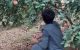 thum-8203989_dwtOeZbfGW_1635348156.jpg