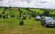 thum-m_TbSgrGLad5_1635307120.jpg