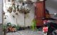 thum-8204695_inyNU9fL4P_1635388430.jpg