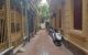 thum-8205300_pd17ScWsFv_1635406432.jpg