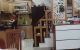 thum-m_GNqpEPTrcC_1635405575.jpg