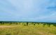 thum-m_ZPay6vOtC9_1635396408.jpg