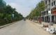 thum-m_jboBdvEzwC_1635430347.jpg
