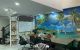 thum-8206179_KnxVCT3GR1_1635442505.jpg
