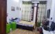 thum-8206642_OYKb89Bfgc_1635469580.jpg