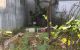 thum-8207206_0tJ5AGBqr2_1635480730.jpg