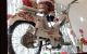 thum-8207496_L7ldwskrXM_1635488931.jpg