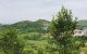 thum-8208516_QatqlJi6hK_1635522128.jpg