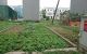 thum-m_uPOMyGio9f_1635487132.jpg