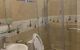 thum-8209117_HFTD6ux0Jq_1635561276.jpg