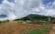 thum-m_blsNukShrQ_1635566665.jpg