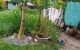thum-8210932_mDt9yHoXnr_1635643217.jpg
