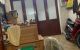 thum-8213153_raiwsh7XJB_1635738317.jpg