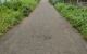 thum-8213570_L1wky2jnto_1635752042.jpg