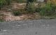 thum-8213680_yrsPL1aM24_1635754397.jpg
