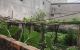 thum-m_aniPhjFI12_1635741193.jpg