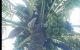 thum-m_hc4xn6J2lO_1635746822.jpg