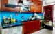 thum-8215334_qdWb7Moi6A_1635819186.jpg