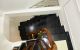 thum-8215863_vdqMIBNED8_1635837424.jpg