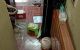 thum-m_1dp4WBwacu_1635861551.jpg