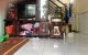 thum-m_PQcCopkLt1_1635836731.jpeg