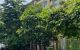 thum-8216954_xhgXBwuS8i_1635891830.jpg