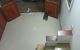 thum-8218523_7qdlNc2eKA_1635949925.jpg