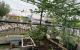 thum-8220335_IbzjlmYdc2_1636031134.jpeg