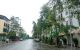 thum-m_cFdEOeB4tx_1636038009.jpg