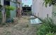 thum-m_UTdGoxbwXL_1636078111.jpg