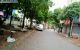 thum-m_v6dnzyRcur_1636130386.jpg