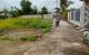 thum-8222758_DRfs3PSkBa_1636155365.jpg