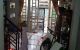 thum-8223318_KIT5QJS83U_1636169190.jpeg