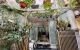 thum-m_Bnm3LfvAyP_1636276932.jpg