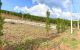 thum-m_uUdofHpsCA_1636295439.jpg