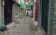 thum-8226465_IosmGQyxeP_1636337472.jpg