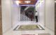 thum-m_1ah9uKWPzb_1636348380.jpg