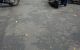 thum-m_dJDkoMU4ur_1636354400.jpg