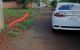 thum-m_sMLPCkVmgY_1636348943.jpeg
