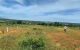 thum-8228778_41CcfWKTNo_1636429862.jpg