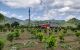 thum-8229202_BNIbtE2q54_1636443671.jpg